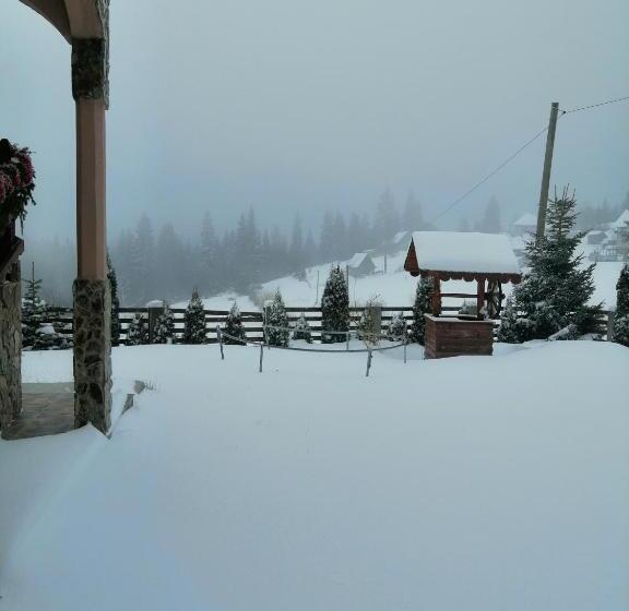 Пансион Cabana Ghetari