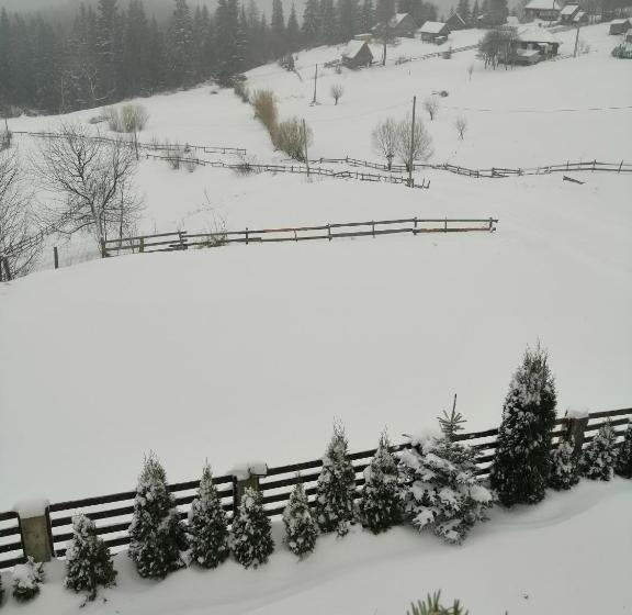 Пансион Cabana Ghetari