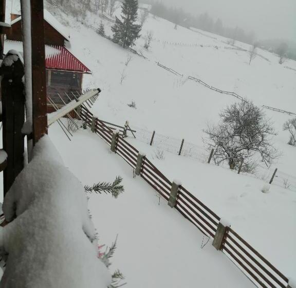 Пансион Cabana Ghetari