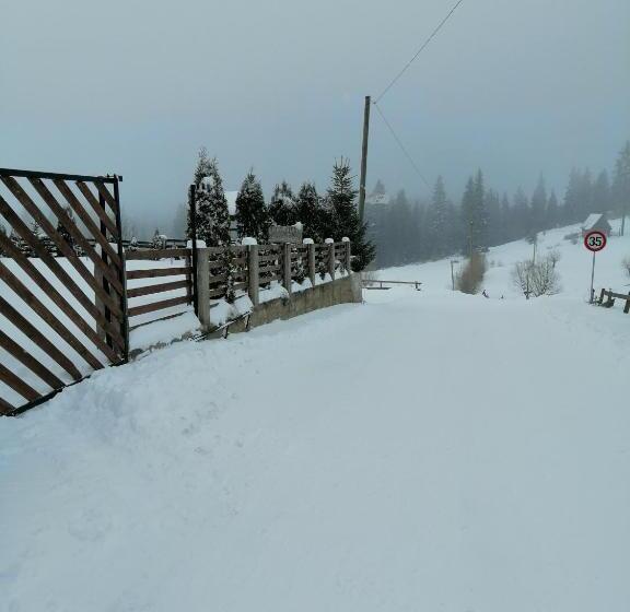 Пансион Cabana Ghetari