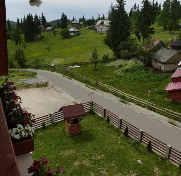 Пансион Cabana Ghetari