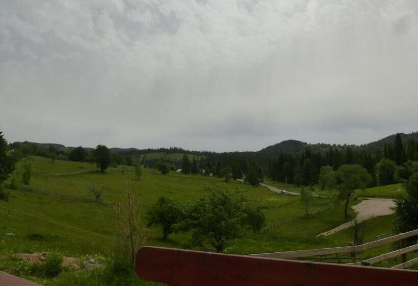 Пансион Cabana Ghetari