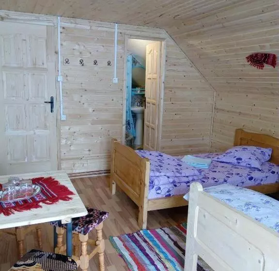 پانسیون Cabana Ghetari