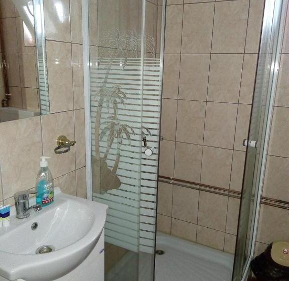 Пансион Cabana Ghetari