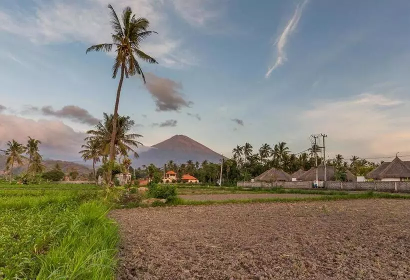 Hotelli Emocean Beach Boutique Dive Resort
