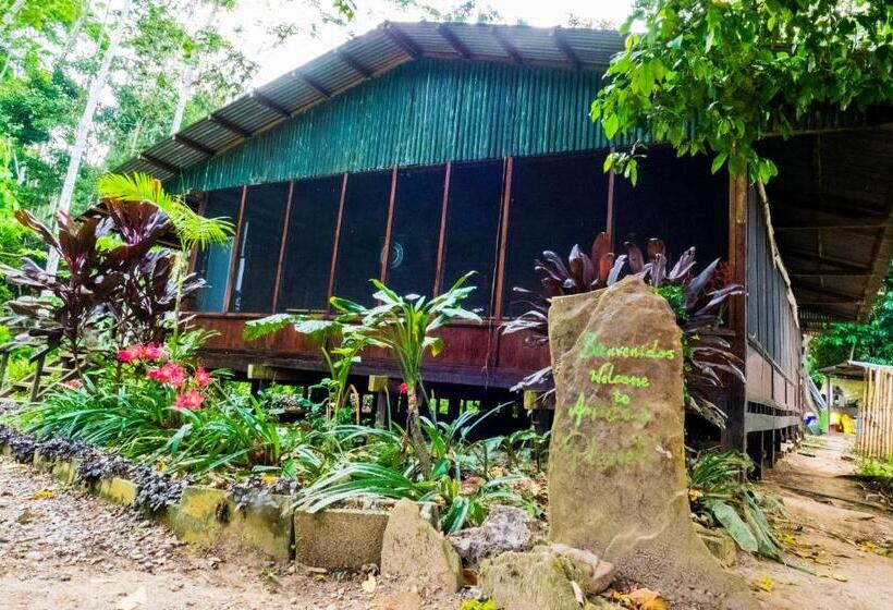 استراحتگاه Amazon Planet