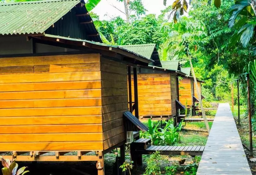 استراحتگاه Amazon Planet