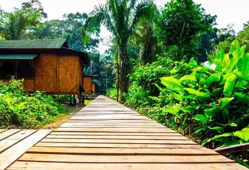 استراحتگاه Amazon Planet