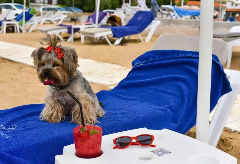 Acrotel Lilyann Boutique