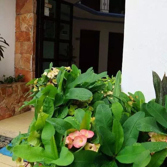 酒店 Aalada Playa Del Carmen