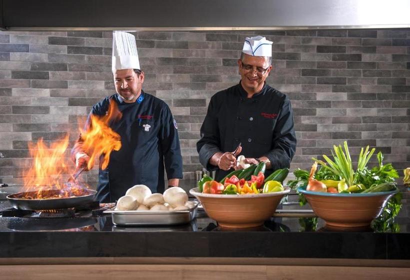 فندق Alexander House