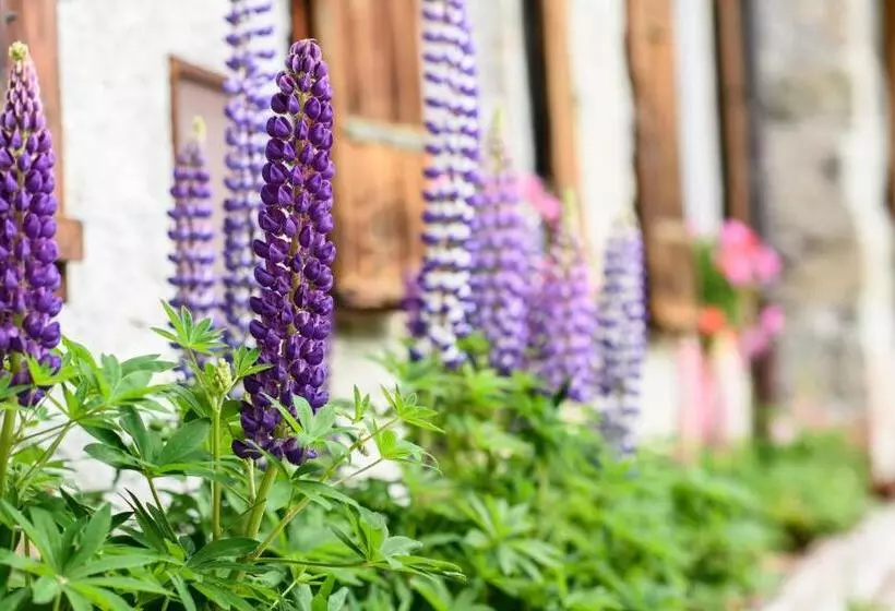 酒店 Grand Hôtel & Kurhaus