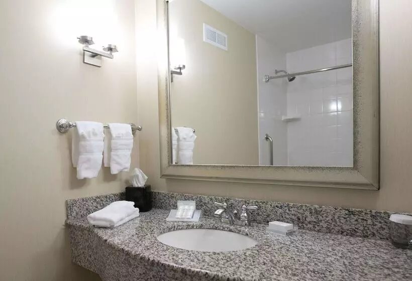 Отель Hilton Garden Inn Lakeland