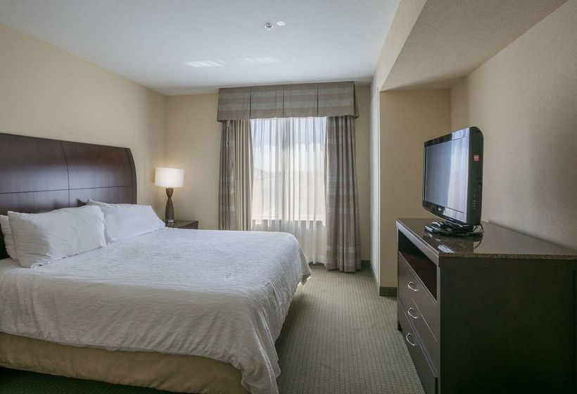 فندق Hilton Garden Inn Lakeland