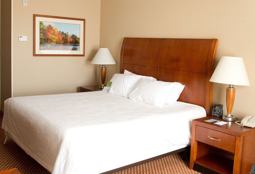 فندق Hilton Garden Inn Laramie