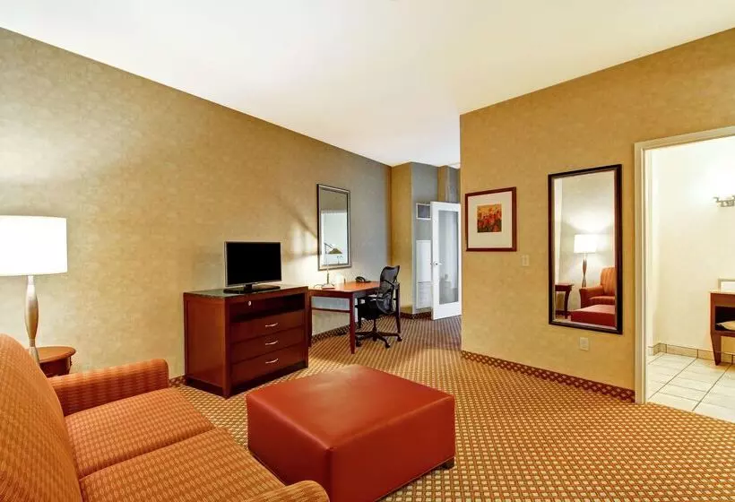 هتل Hilton Garden Inn Ottawa Airport