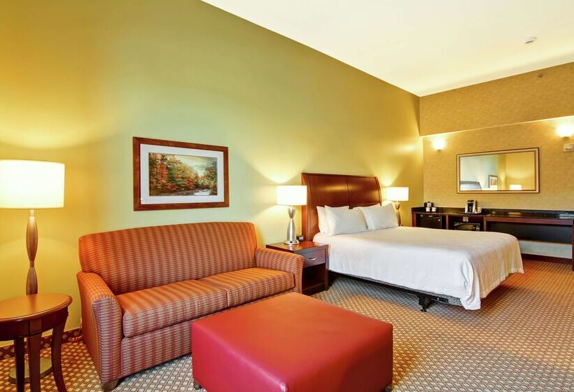 فندق Hilton Garden Inn Ottawa Airport
