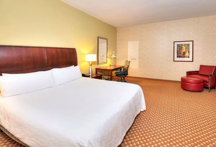 هتل Hilton Garden Inn Ottawa Airport