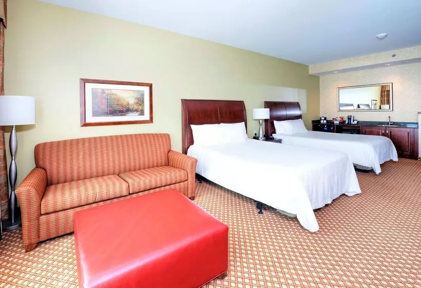 هتل Hilton Garden Inn Ottawa Airport