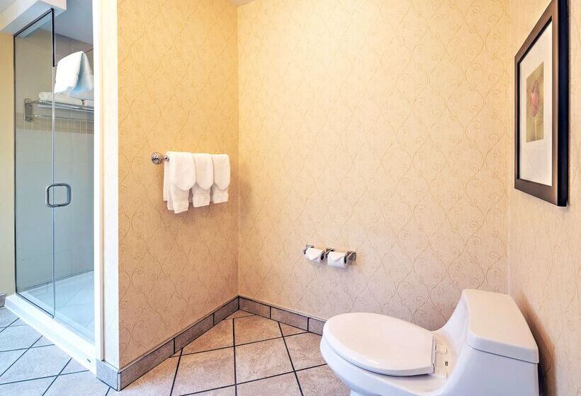 فندق Hilton Garden Inn Ottawa Airport