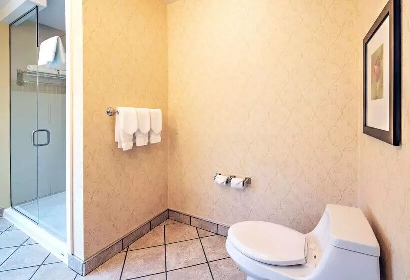 هتل Hilton Garden Inn Ottawa Airport