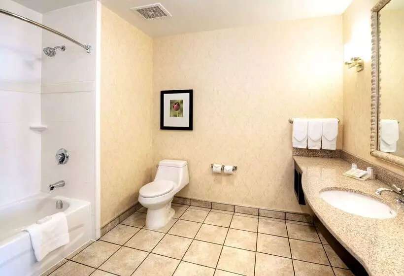 هتل Hilton Garden Inn Ottawa Airport