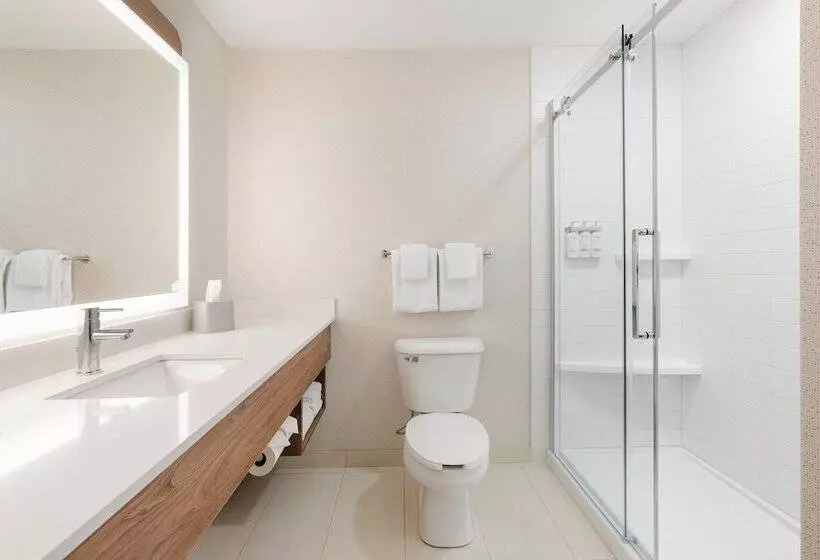 בית מלון כפרי Holiday Inn Express Grande Prairie, An Ihg