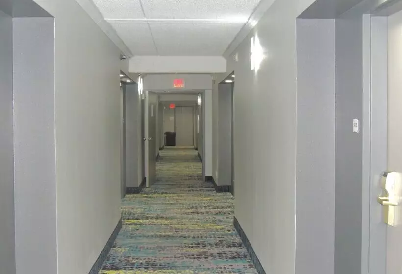 ホテル Quality Inn