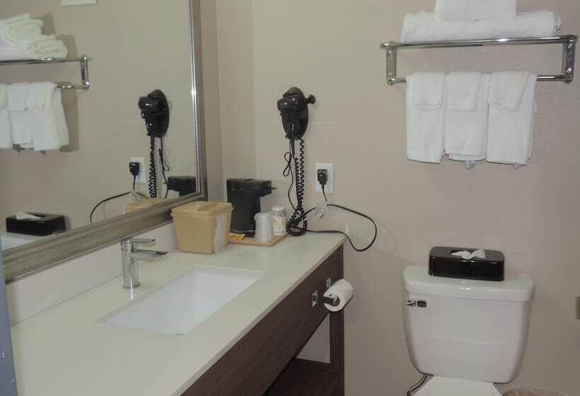 فندق Quality Inn