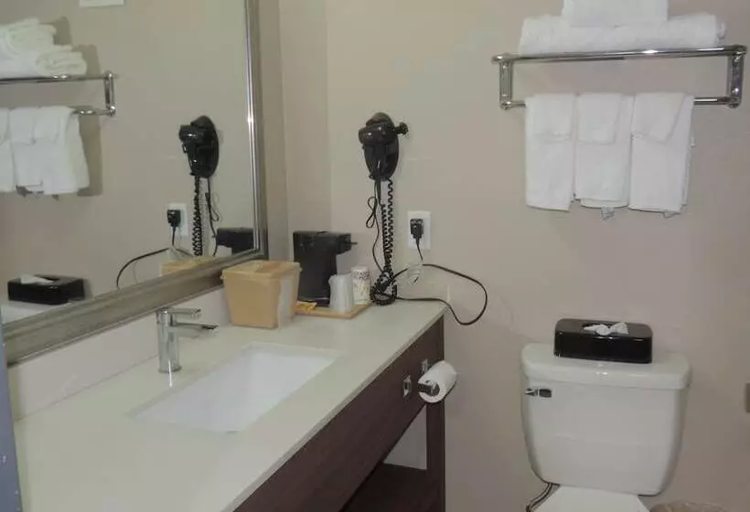 ホテル Quality Inn