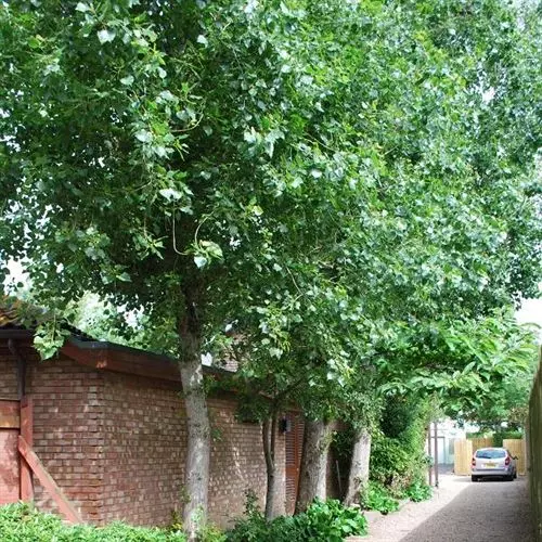 Отель Samares Coast