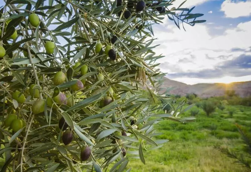 ریاض Ksar Ighnda