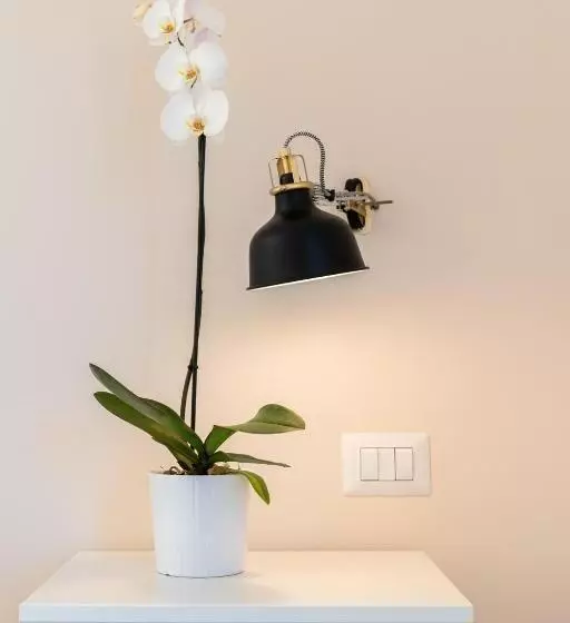 ペンション Casa Palanca Camere