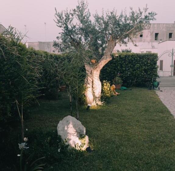 Pansiyon B&b Paradise