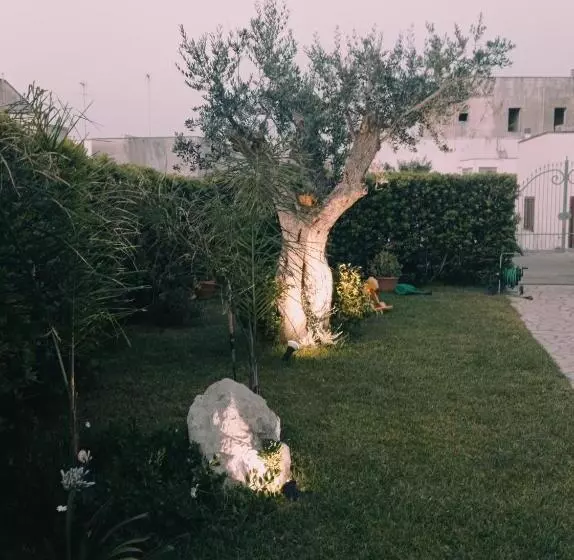 ペンション B&b Paradise