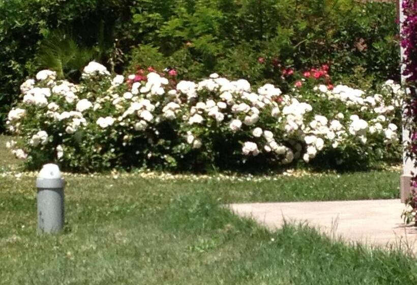 Pensionat Conero Mare Verde