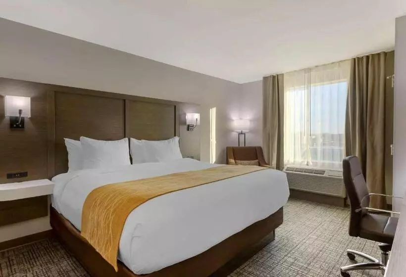 ホテル Comfort Inn