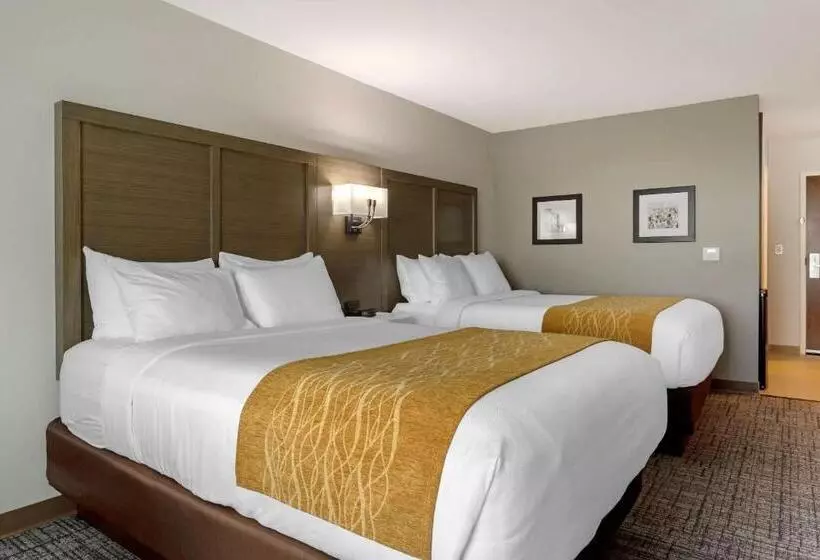 ホテル Comfort Inn