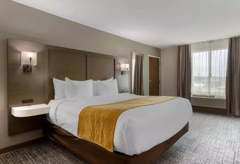 ホテル Comfort Inn