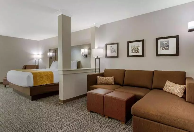 ホテル Comfort Inn