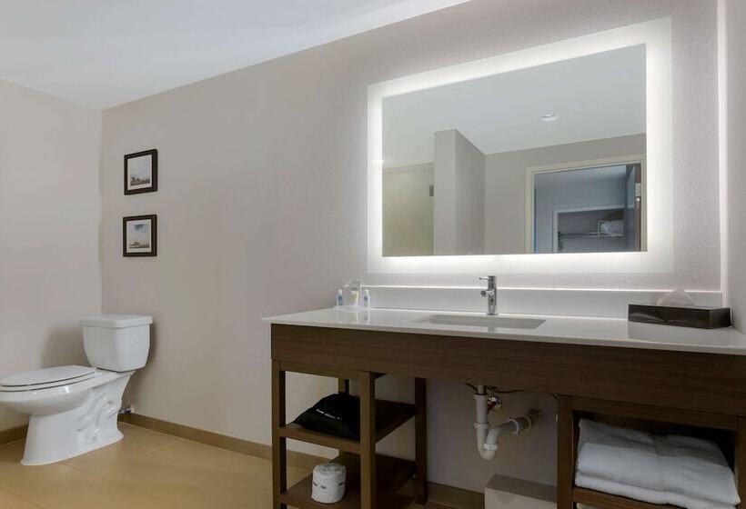 Отель Comfort Inn