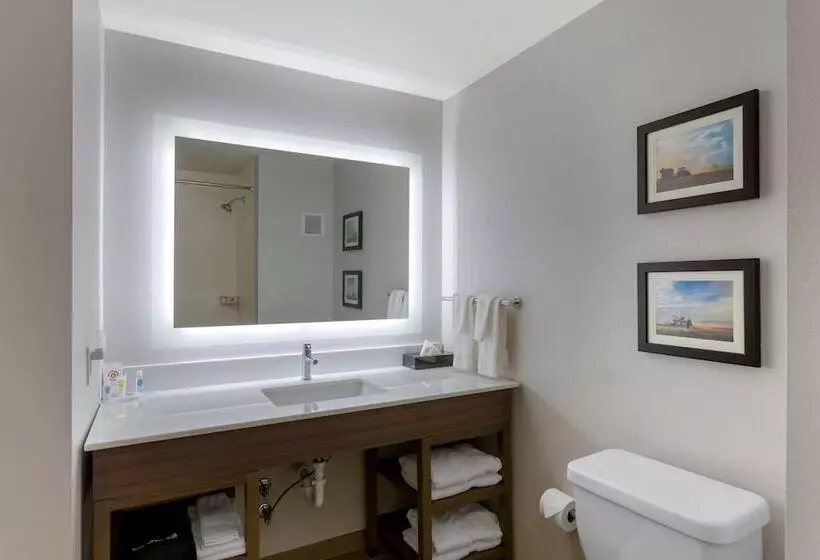 ホテル Comfort Inn