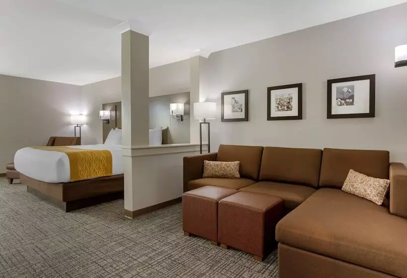 ホテル Comfort Inn