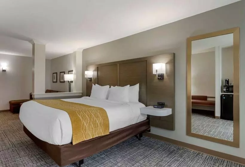 ホテル Comfort Inn