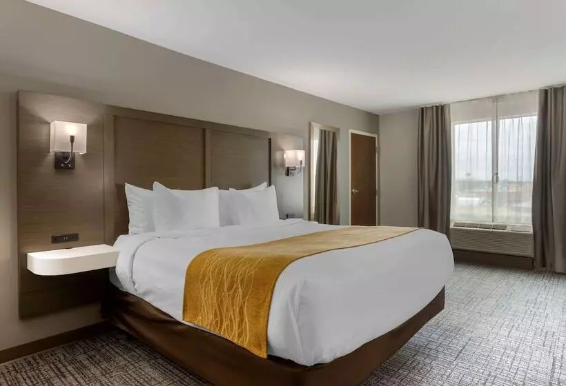 ホテル Comfort Inn