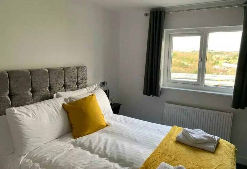 Paddington By Pureserviced