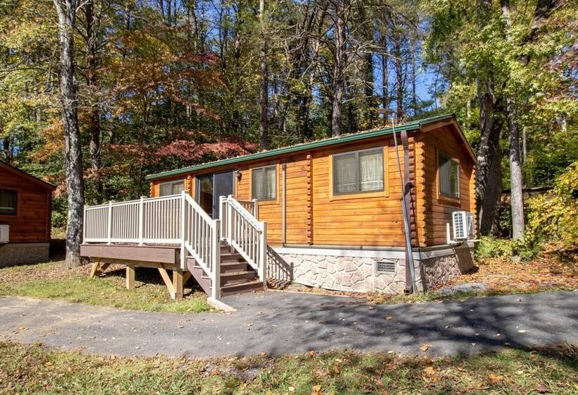 Wilderness Presidential By Tripforth