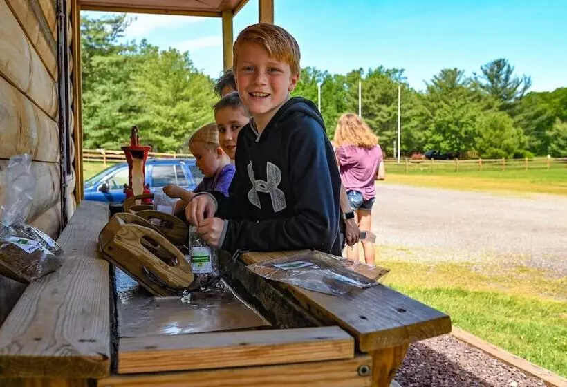 Wilderness Presidential By Tripforth