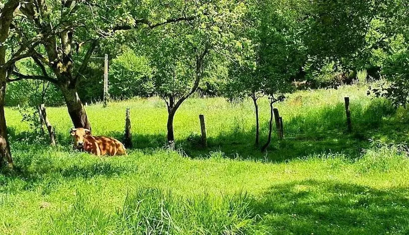 Casa Rural Madreselva 1