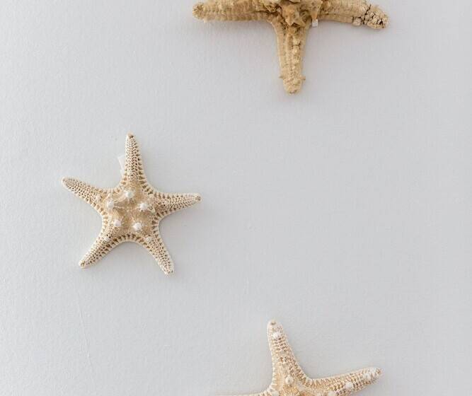 בית מלון כפרי Apartment On The Beach